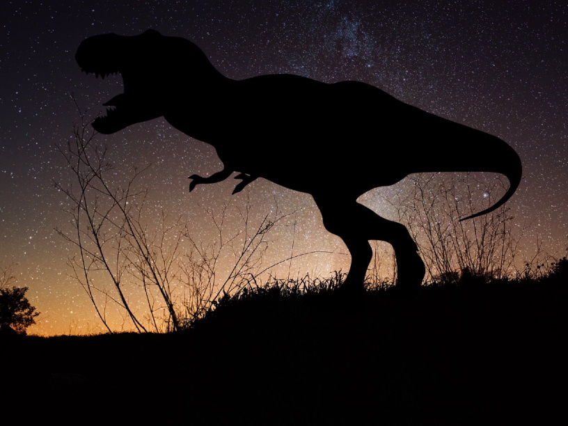 Почему у тираннозавра такие лапки