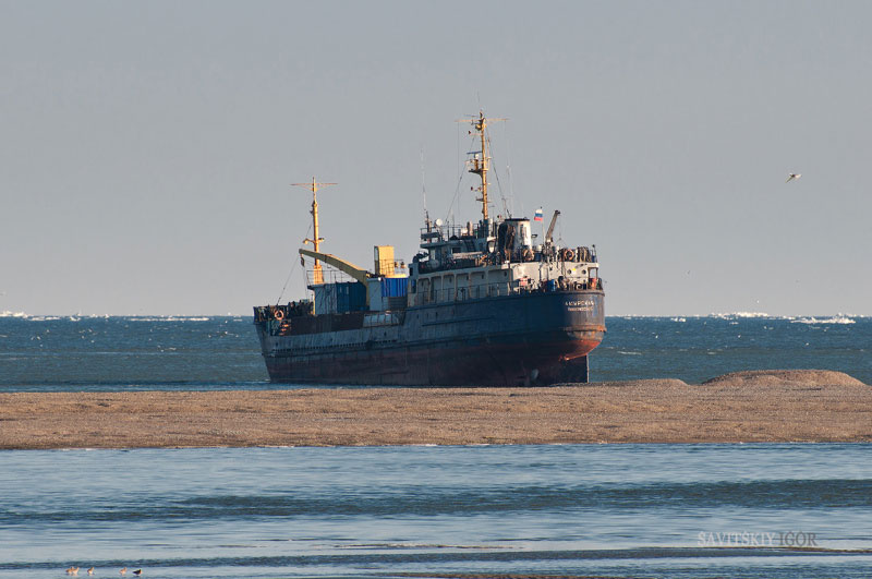 В Охотском море потерялся сухогруз с золотом