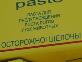 Звери и люди