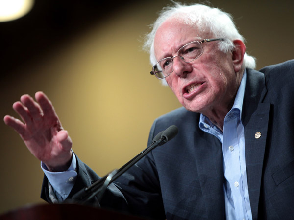 Знакомьтесь — Берни!