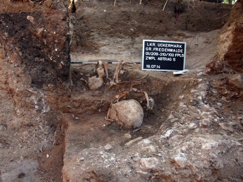 Вертикальное захоронение возрастом 7000 лет обнаружено в Германии