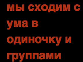 Ночные нонсенсы