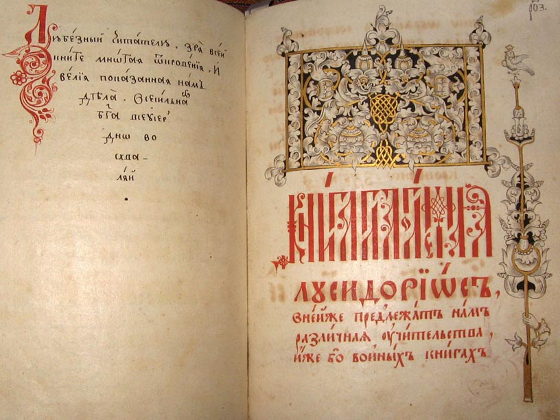 Черепахи, улитки и снег