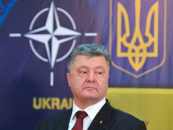 «Украине не стоит спешить с референдумом по вступлению в НАТО»