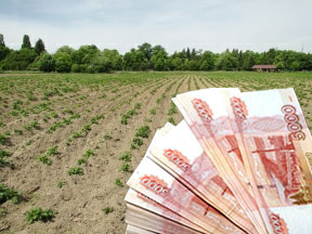 Митинги и земли – это только начало