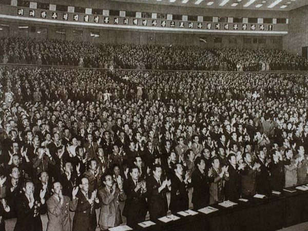 Всеобщая «организационная жизнь»