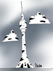 Литературная Beryozka