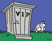 Королевство кривых выборов