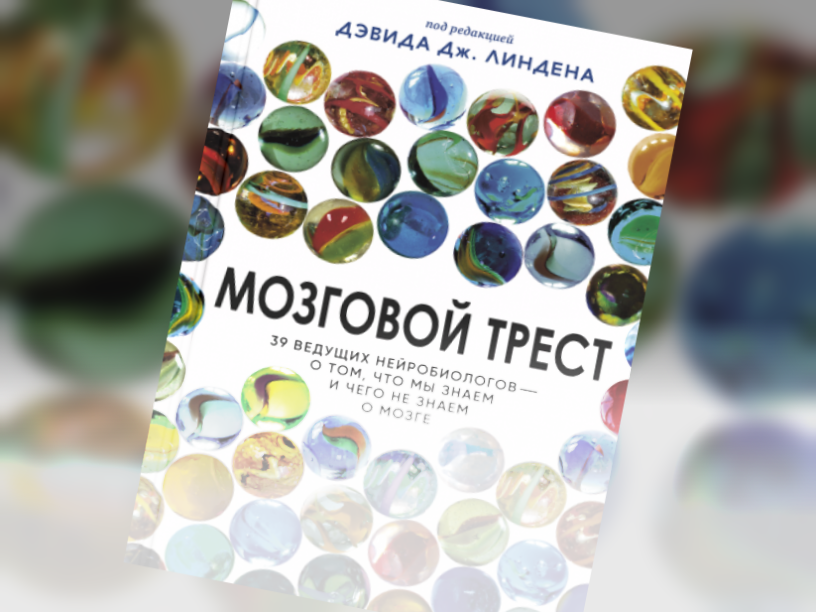 Электрические сигналы мозга доступны для понимания. Глава из книги «Мозговой трест»