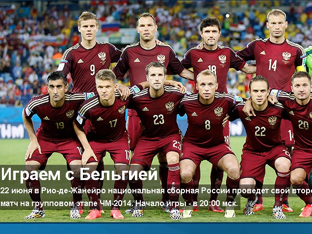В Россию верят попугай и слониха