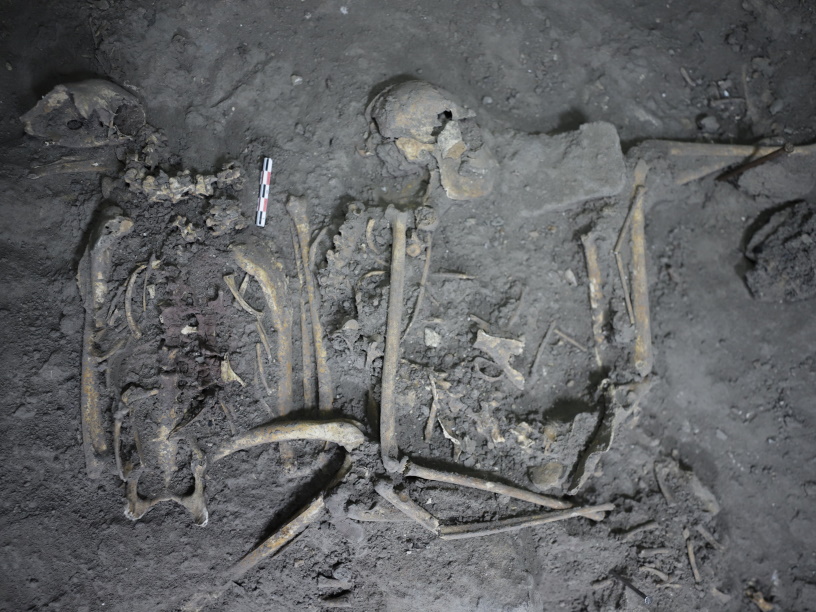 Жители Теотиуакана 1700 лет назад принесли в жертву обезьяну