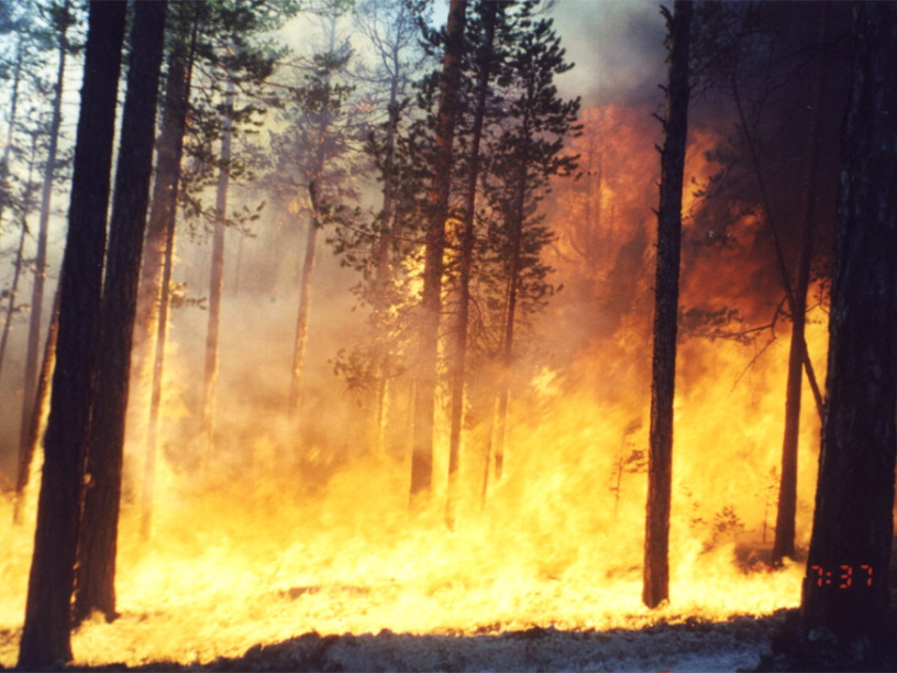 Климатические изменения и пожары сибирских лесов