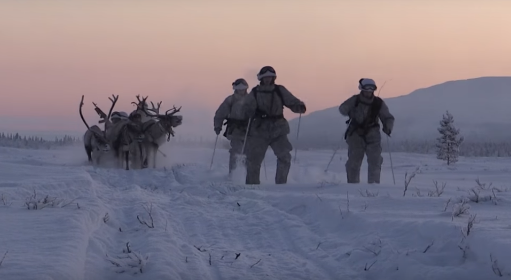 Видео дня. Северный флот на оленьих упряжках