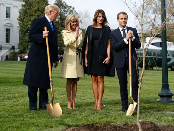 Трамп и Макрон: ожидания