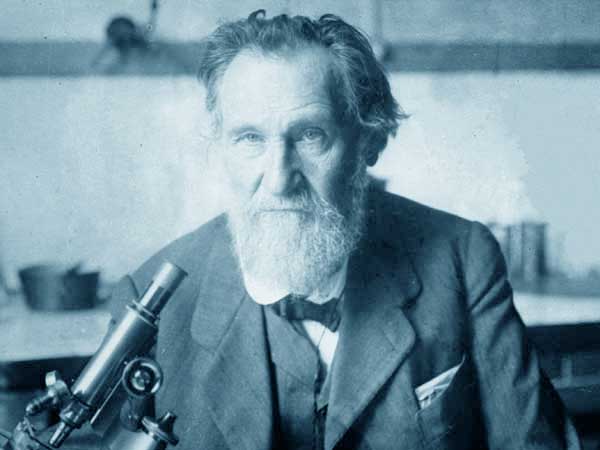 Мемория. Илья Мечников
