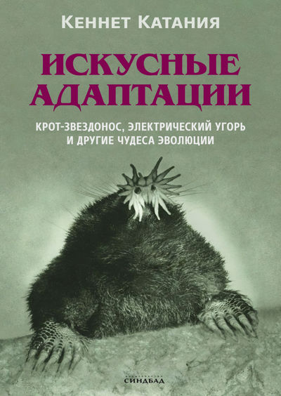 Искусные адаптации