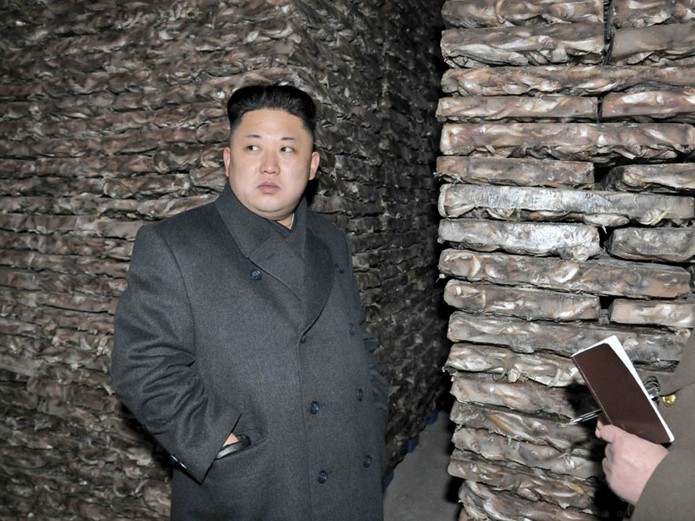 «Ким Ир Сен сегодняшнего дня»? КНДР под властью Ким Чен Ына