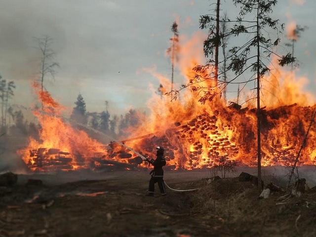 Пожар в «Лосином острове»: поджог или халатность