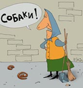 Кошачий рай