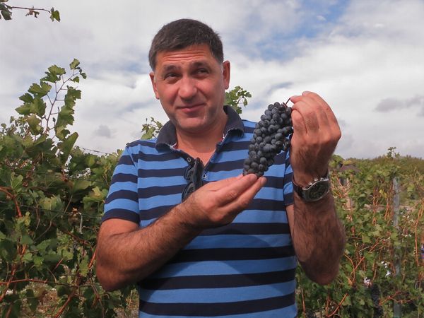 «Киношок» обсуждает фильмы и пробует кубанские вина. Фото