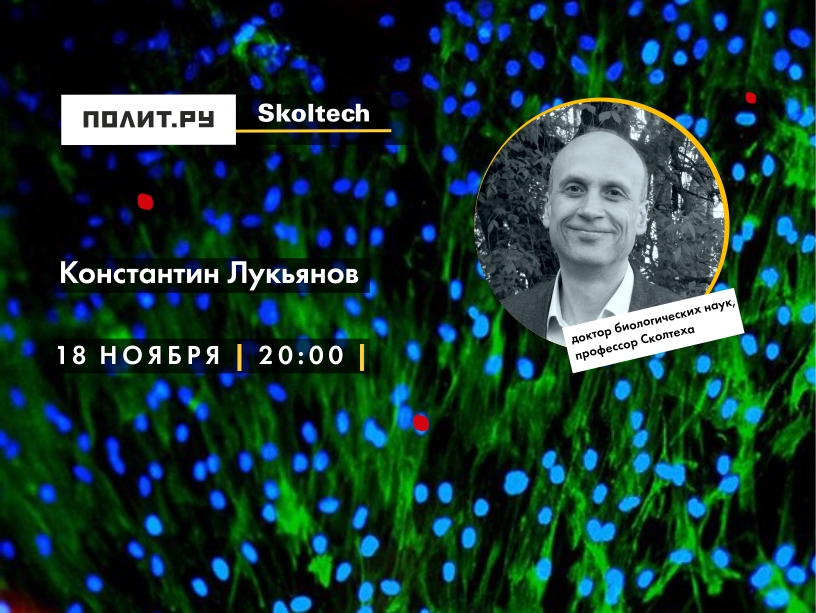 Тайны флуоресцентных белков