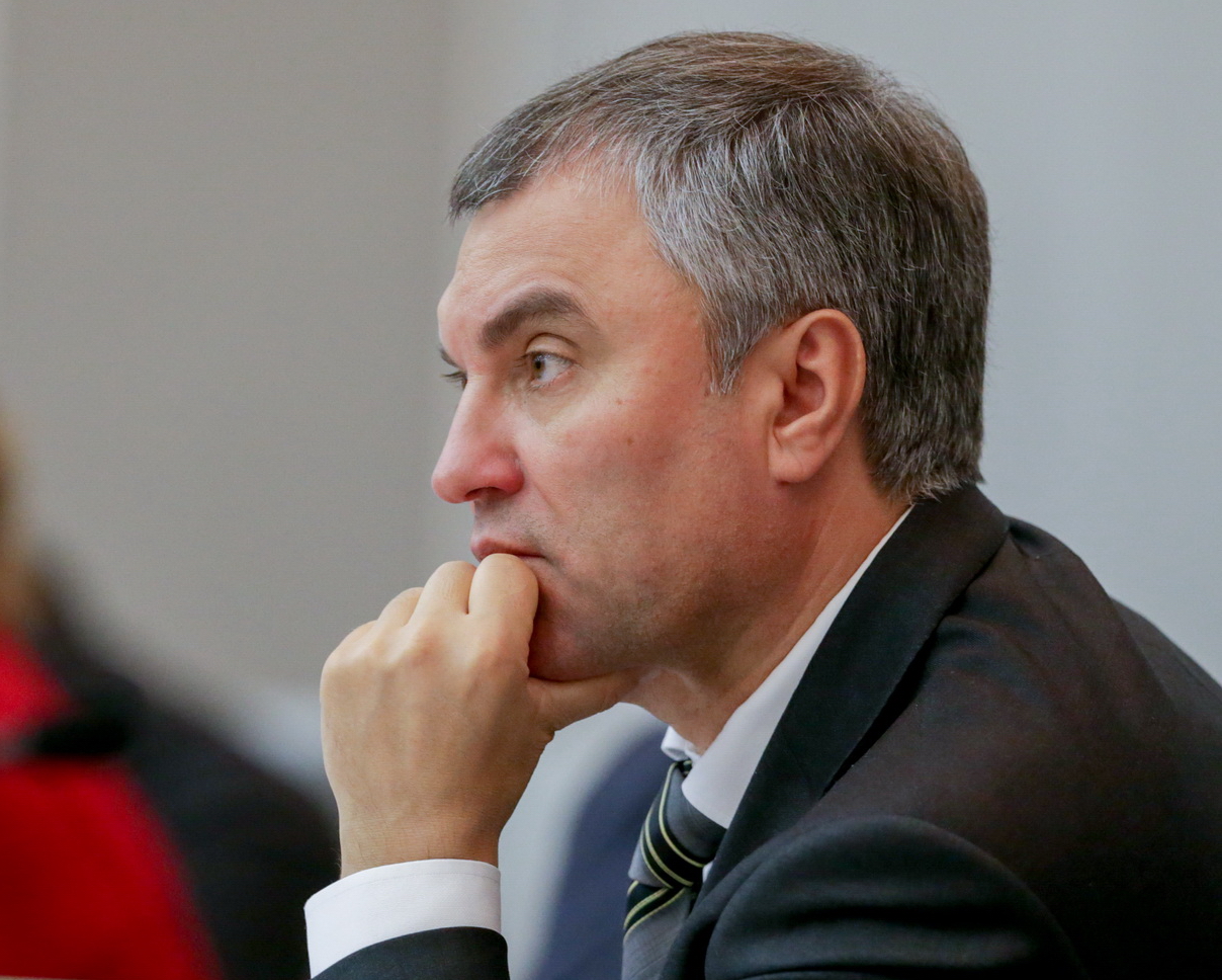 Вячеслав Володин во внешней политике