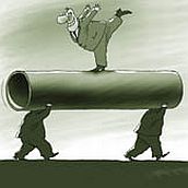 Митволя отсистематизируют