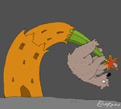 Вне конкуренции
