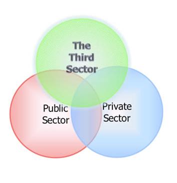Самоуправление и третий сектор