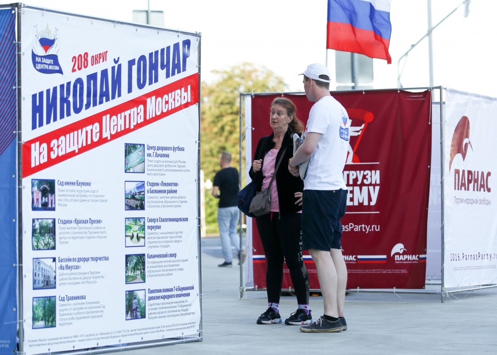 Стратегия избирателя