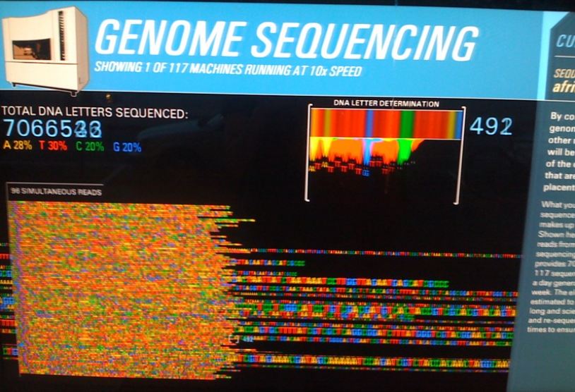 Тысяча долларов за расшифровку генома