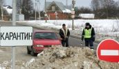 Птичий грипп на подступах к Москве