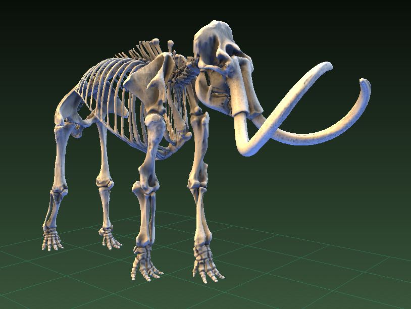 Экспонаты американских музеев будут доступны в 3D