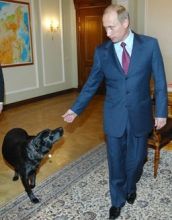 Россию накрывает из космоса