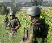 На грузинскую деревню упало 700 кг агрессии