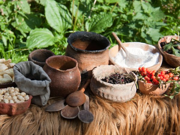 История пищи, или История о том, как человек стал человеком