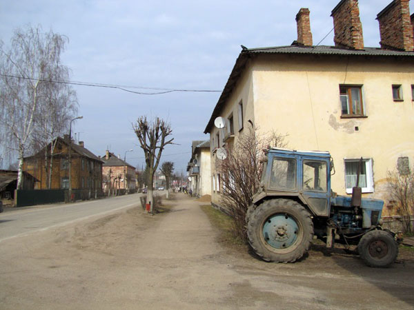 Губернатор и гвоздик