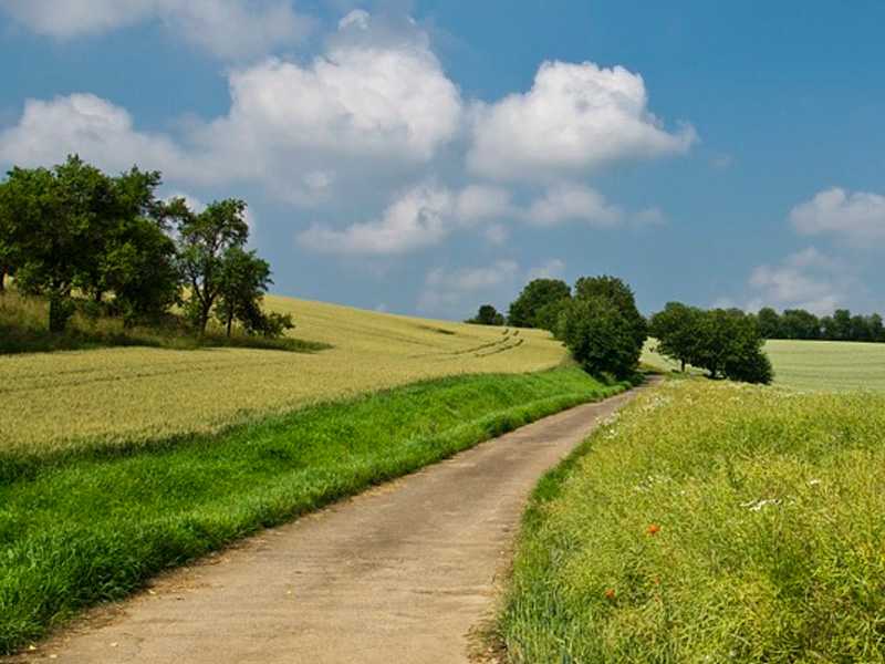 #Россия 10.02. Главное