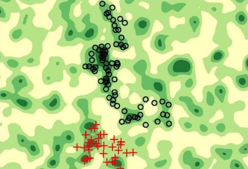 Главный принцип космологии - под угрозой