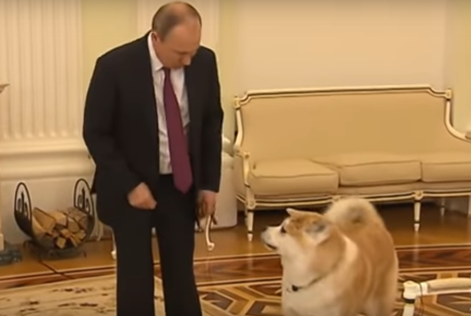 Видео дня. Собака Путина облаяла японцев