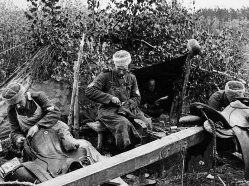 История и ее фальсификация: как защищают Отечество и «историческую правду»