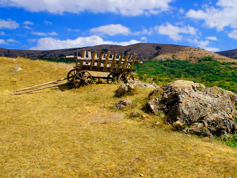 #100 СЛОВ. Гаагский ответ на крымский вопрос
