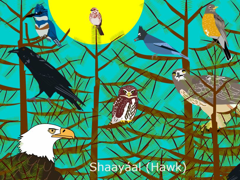 Флэш-игры помогут в изучении трех индейских языков