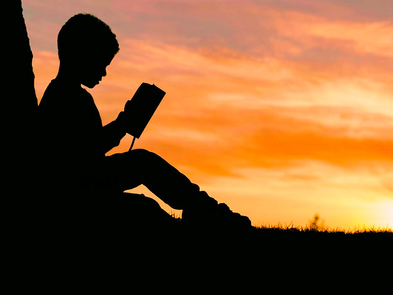 «Родная книга» едет в Карелию