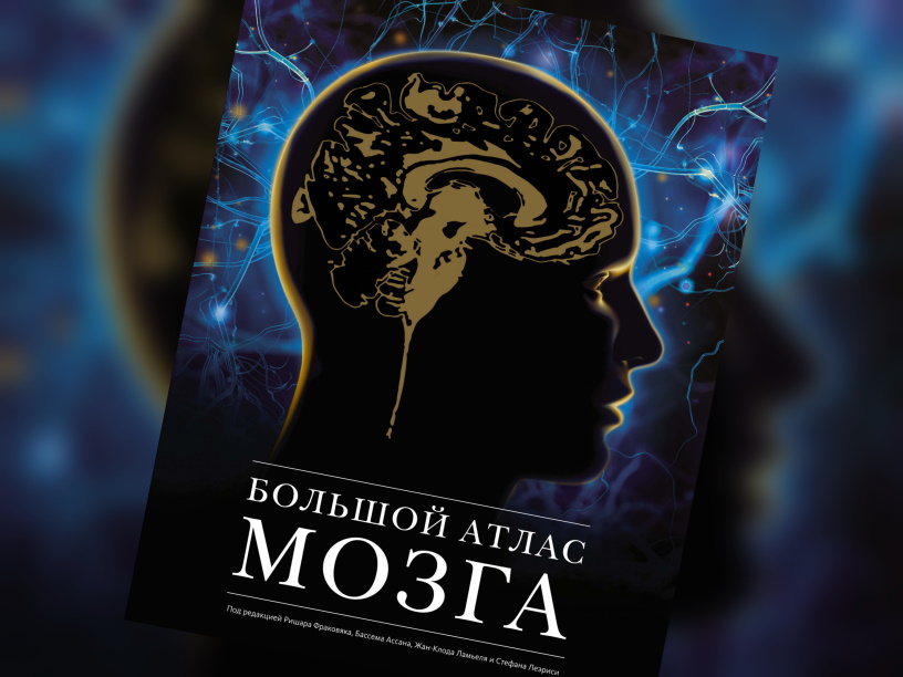 Большой атлас мозга