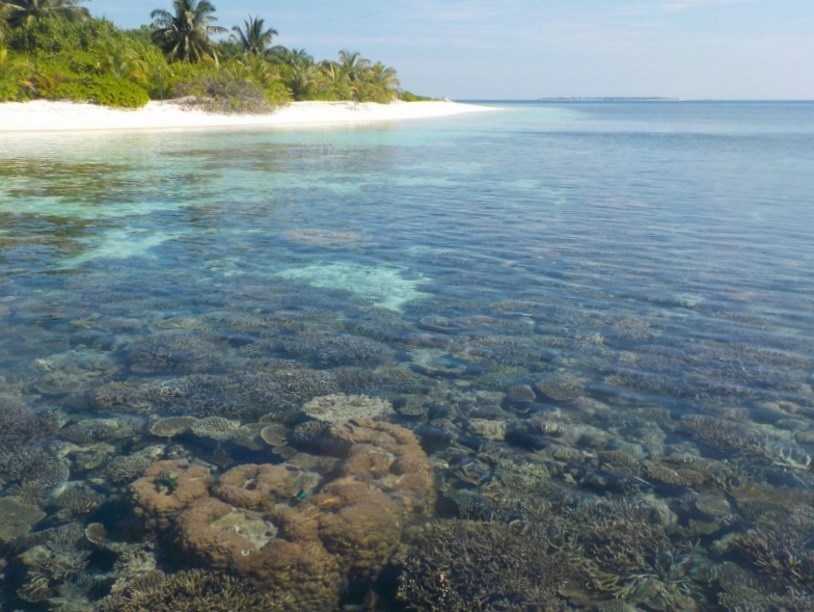 Из известняка на Мальдивах выделили морскую воду возрастом 20 тысяч лет
