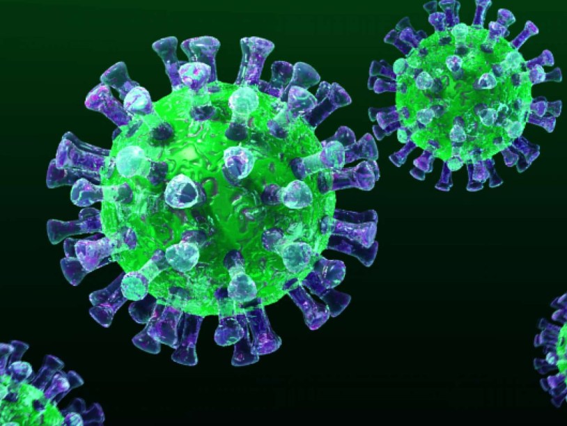Южная Корея свободна от вируса MERS