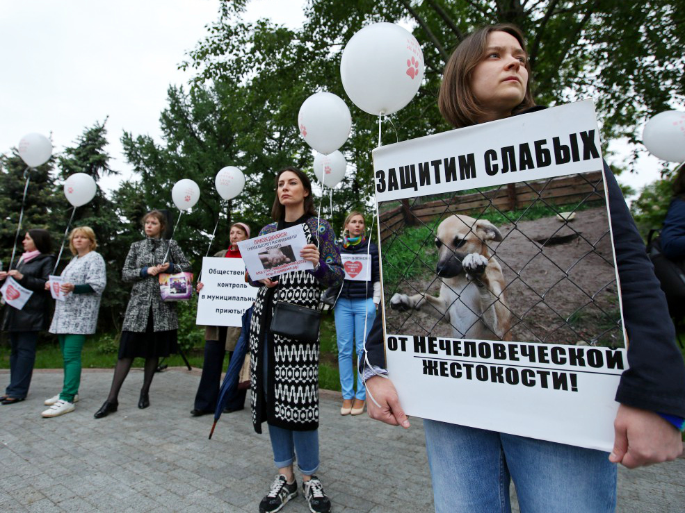 Наутро. 16 июня