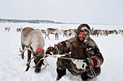 Путь от "красного чума" к  учителю-кочевнику