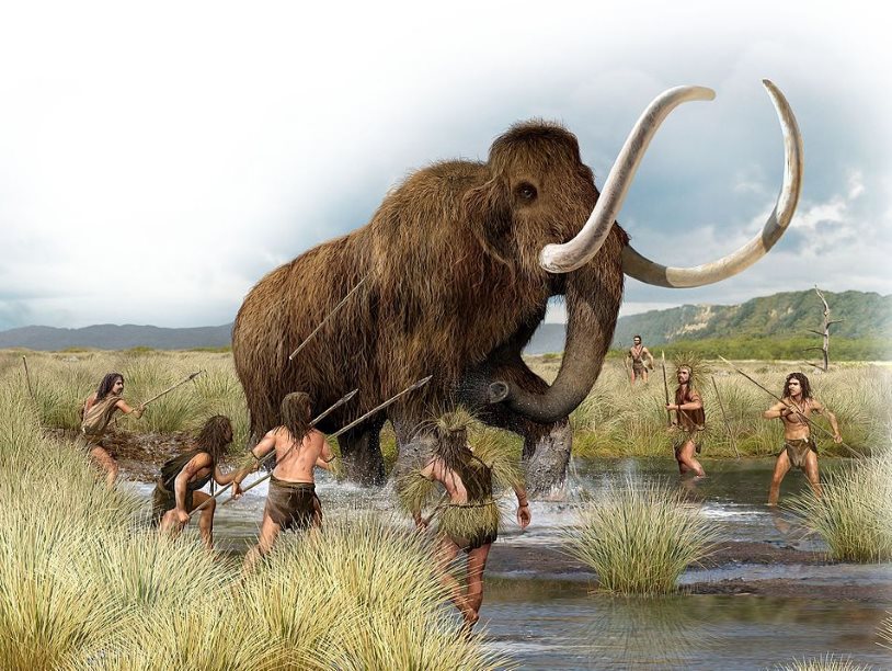 Древние жители Крыма ели мамонтов и лошадей